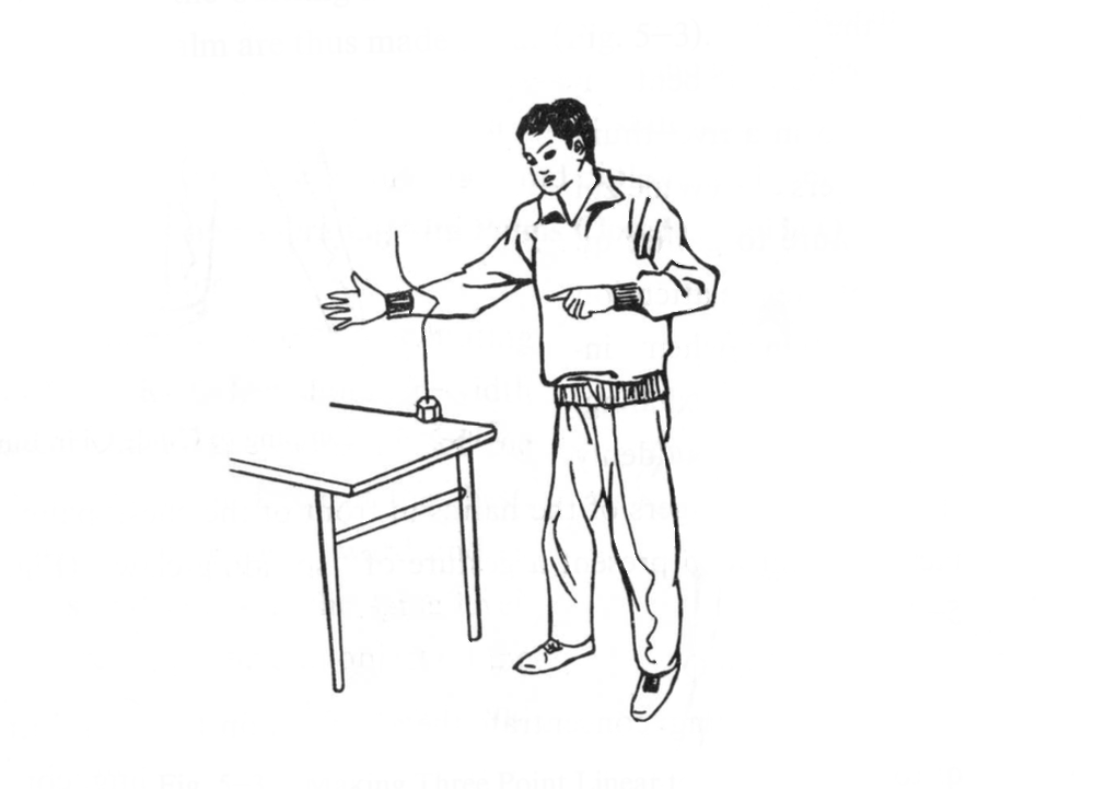 Un supporto semplice e pratico per lo sviluppo del Wai Qi Fa